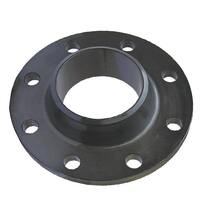 FLANGES WN CS